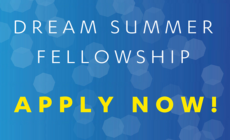Dream Summer Fellowship