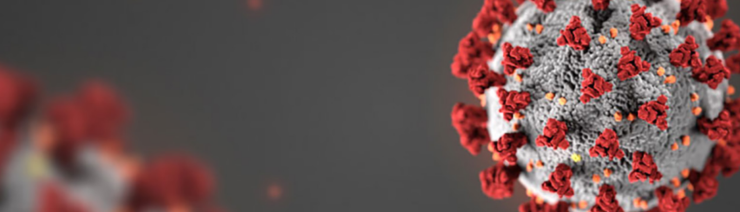 Copy of Untitled (6)