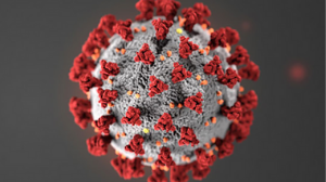 Copy of Untitled (7)